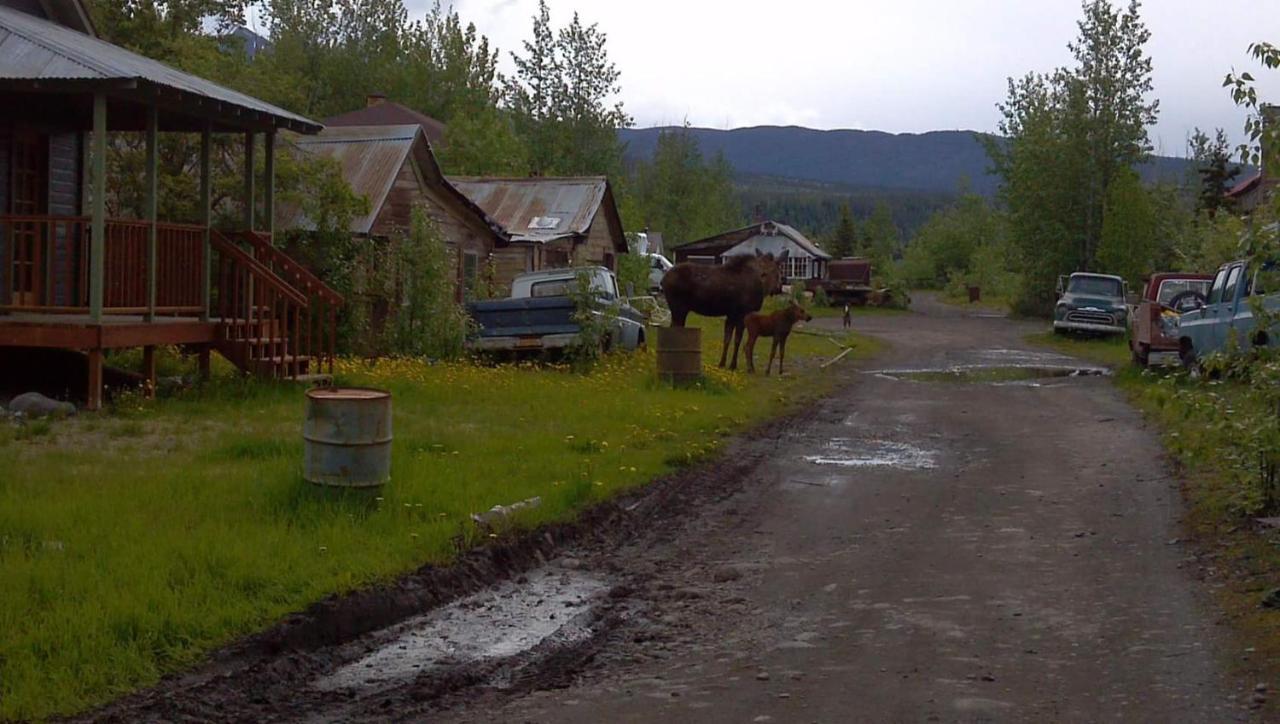 Blackburn Cabins - Mccarthy, Alaska Exterior photo